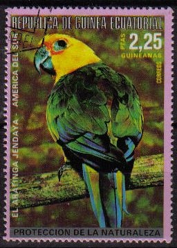 z vendido Guinea Ecuatorial 1974 Michel 487 Sello Pajaros Americanos Aratinga Jendaya Matasello de favor Preobliterado 